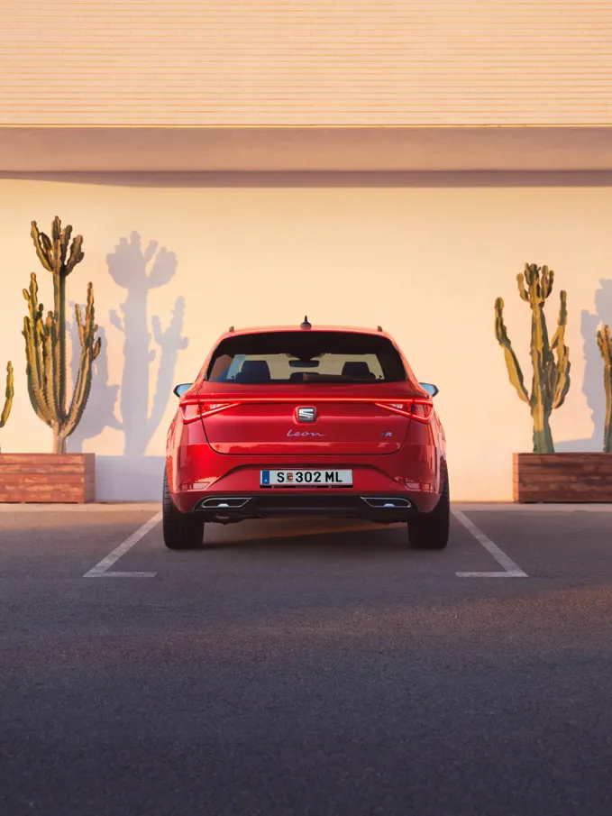 Ein SEAT Leon NF steht zwischen zwei Kakteen auf einem Parkplatz im Abendrot.