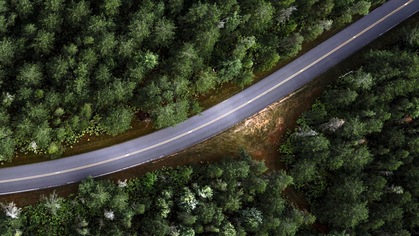 Flugaufnahme einer Straße, die durch einen Wald führt.